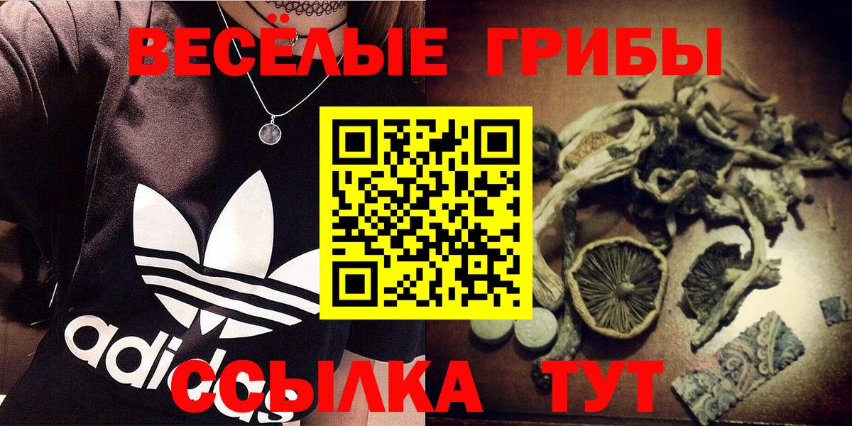 Галлюциногенные грибы мухоморы Кашира