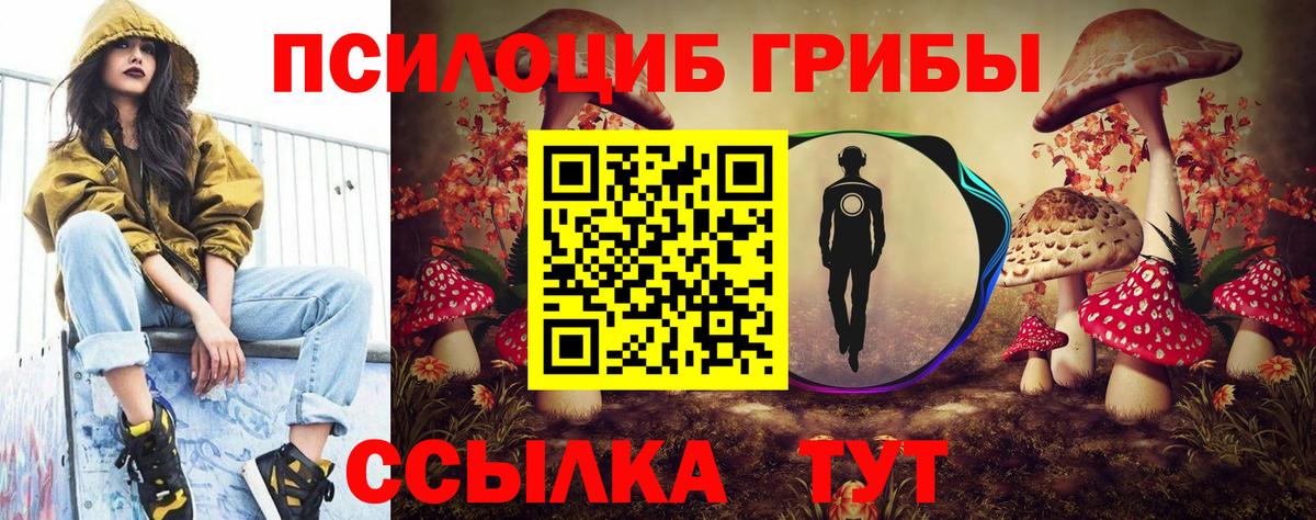 Кашира  Псилоцибиновые грибы MAGIC MUSHROOMS  Вход с VPN 